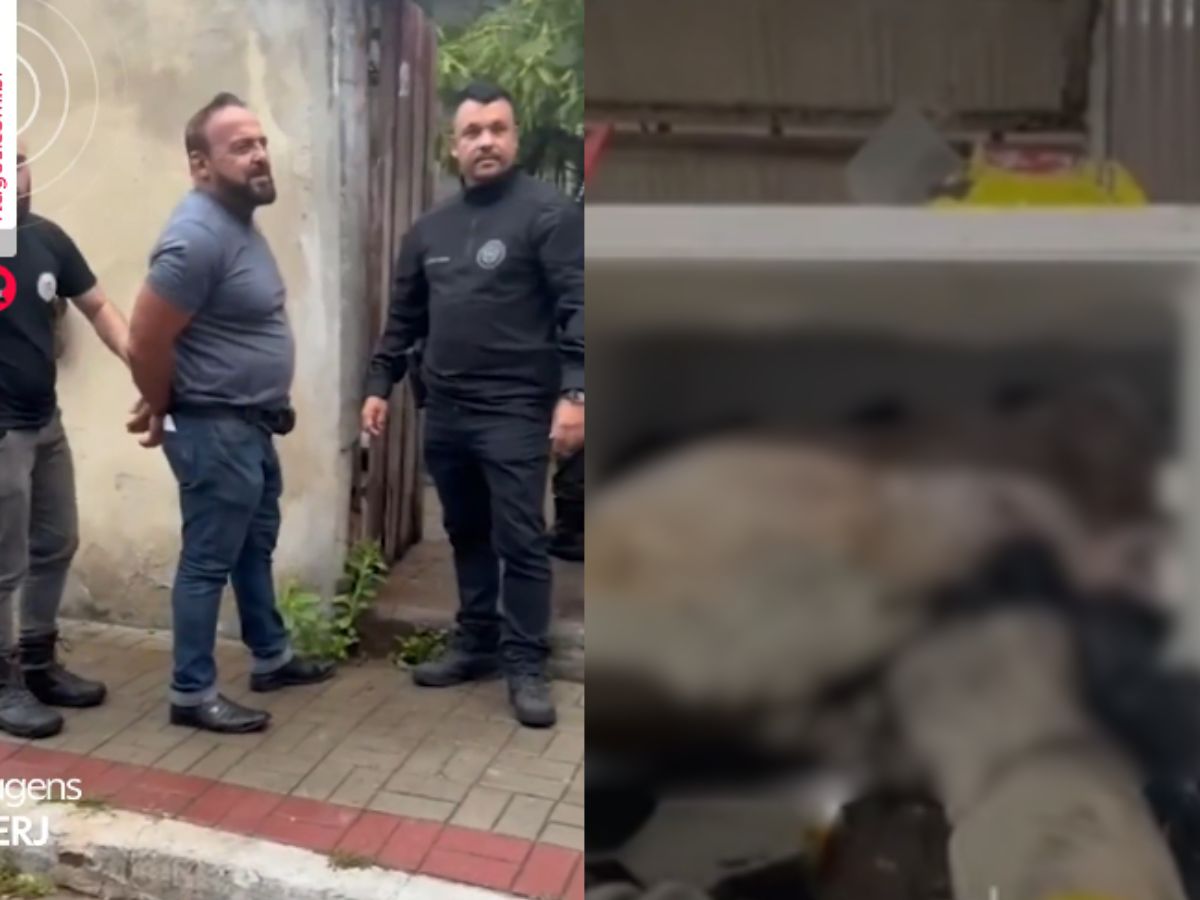 Cardiologista é preso por manter cães mortos em freezer no RJ 1 cardiologista e preso por manter caes mortos em freezer no rj