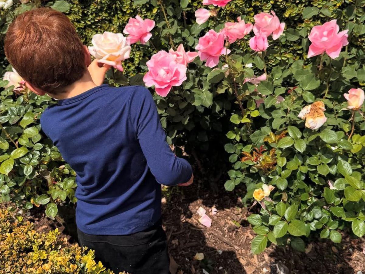 Meghan Markle publica fotos com Lilibet e Archie, filhos com Príncipe Harry 1 meghan markle publica fotos com lilibet e archie filhos com principe harry