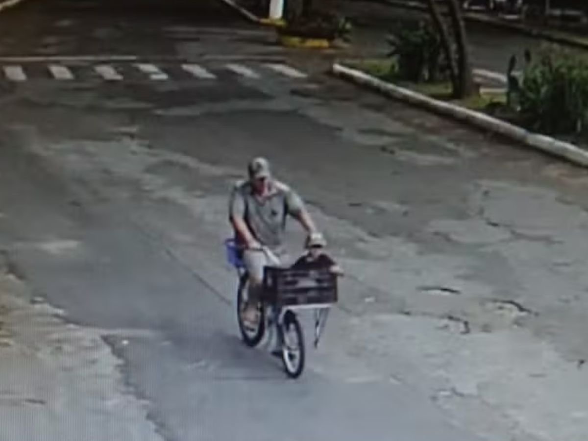 Pai Indiciado por Jogar Filho de 5 Anos de Ponte 1 pai indiciado por jogar filho de 5 anos de ponte