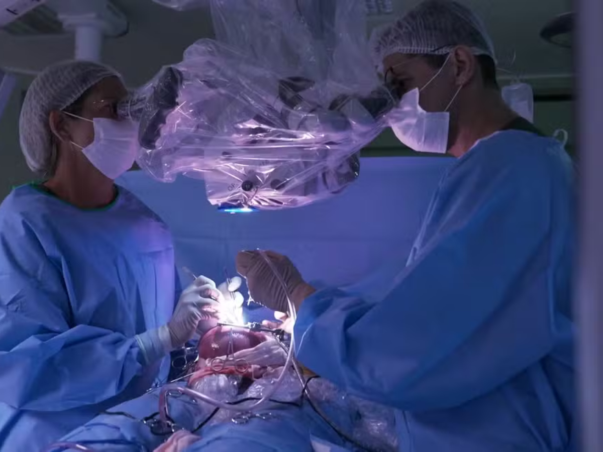 Útero de gestante é removido para cirurgia em bebê 1 utero de gestante e removido para cirurgia em bebe