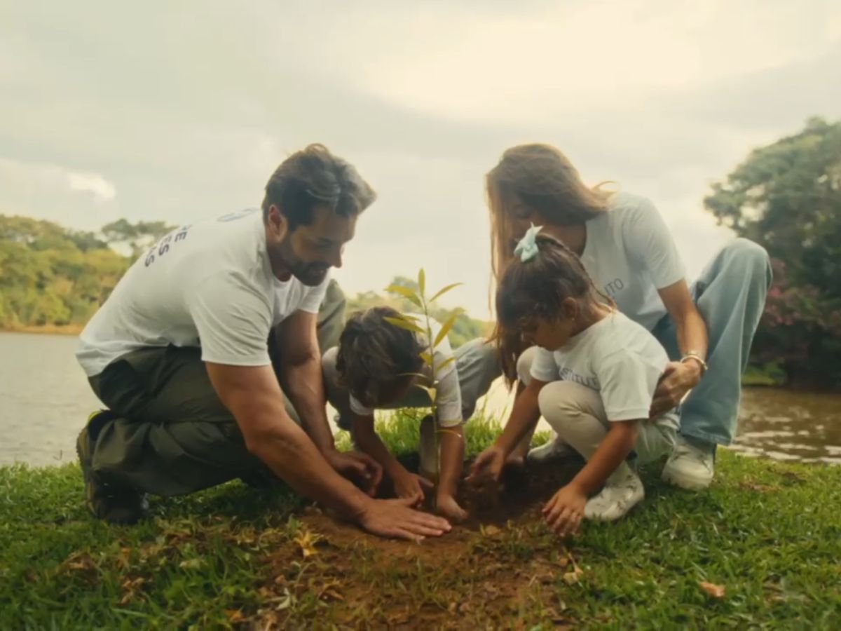Alok planta 20 mil árvores da Mata Atlântica na turnê 1 alok planta 20 mil arvores da mata atlantica na turne