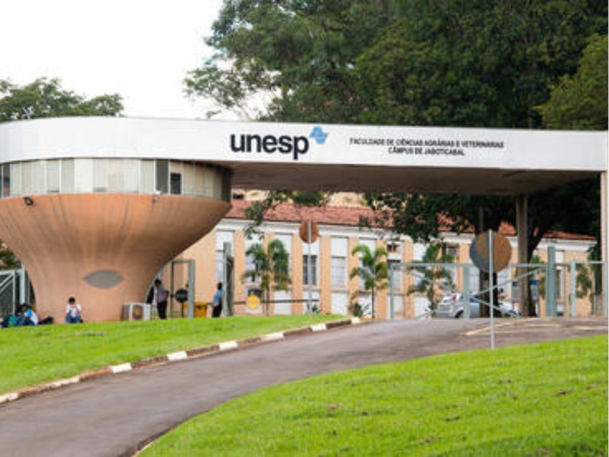 Calouros da Unesp internados após trote com álcool 1 calouros da unesp internados apos trote com alcool