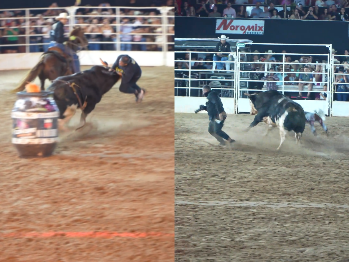 fotografo passa bem apos incidente com touro valioso