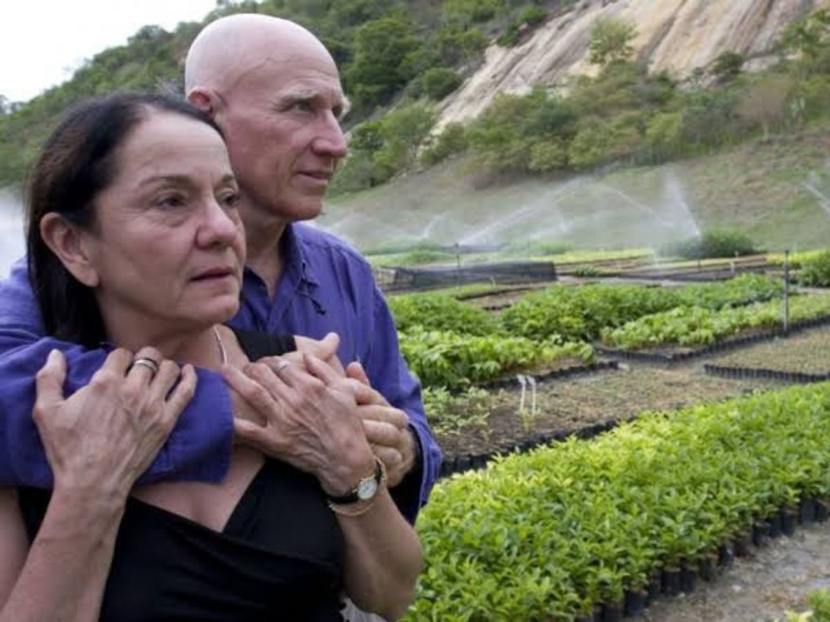 Fotógrafo Sebastião Salgado e Esposa Já Reflorestaram 2,5 Milhões de Árvores 1 fotografo sebastiao salgado e esposa ja reflorestaram 25 milhoes de arvores