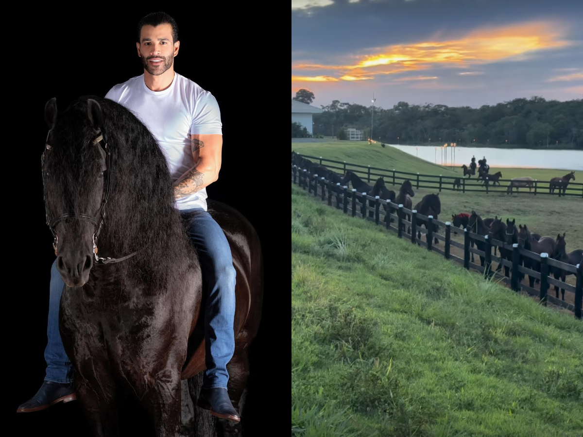 Gusttavo Lima se Diverte em Leilão: Saí de Casa para Tomar Cachaça e Comprei Dois Cavalos 1 gusttavo lima se diverte em leilao sai de casa para tomar cachaca e comprei dois cavalos