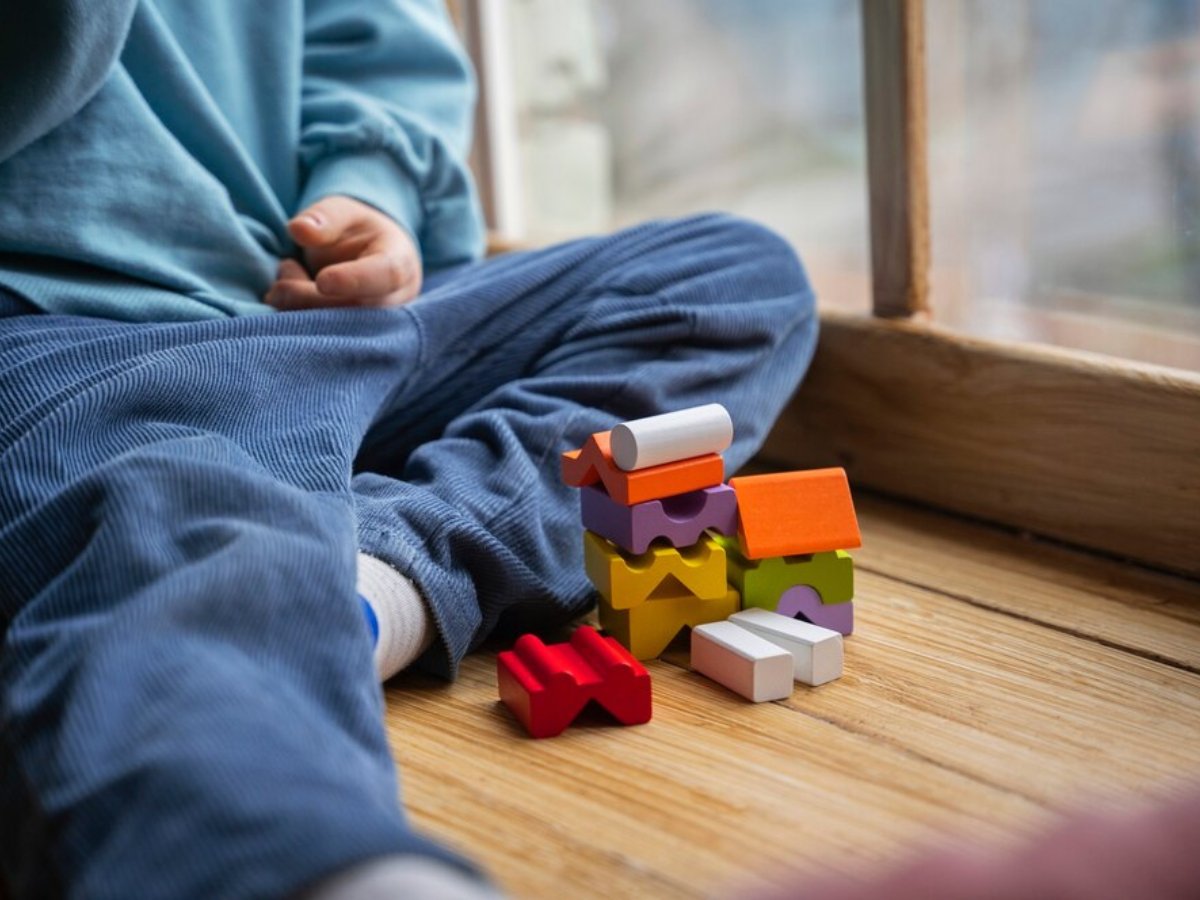 IBGE divulga dados do censo sobre autismo no Brasil 1 ibge divulga dados do censo sobre autismo no brasil