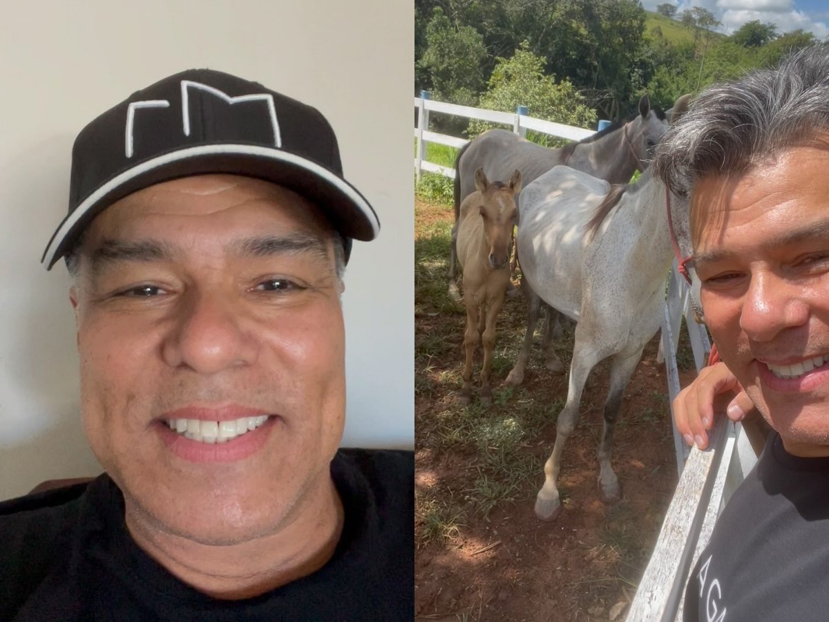Maurício Mattar se dedica à criação de cavalos em haras 1 mauricio mattar se dedica a criacao de cavalos em haras