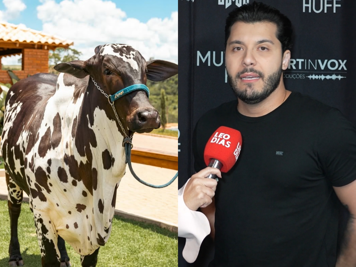 Murilo Huff investe R$ 2 milhões em gado no ExpoMix 2025 1 murilo huff investe r 2 milhoes em gado no expomix 2025