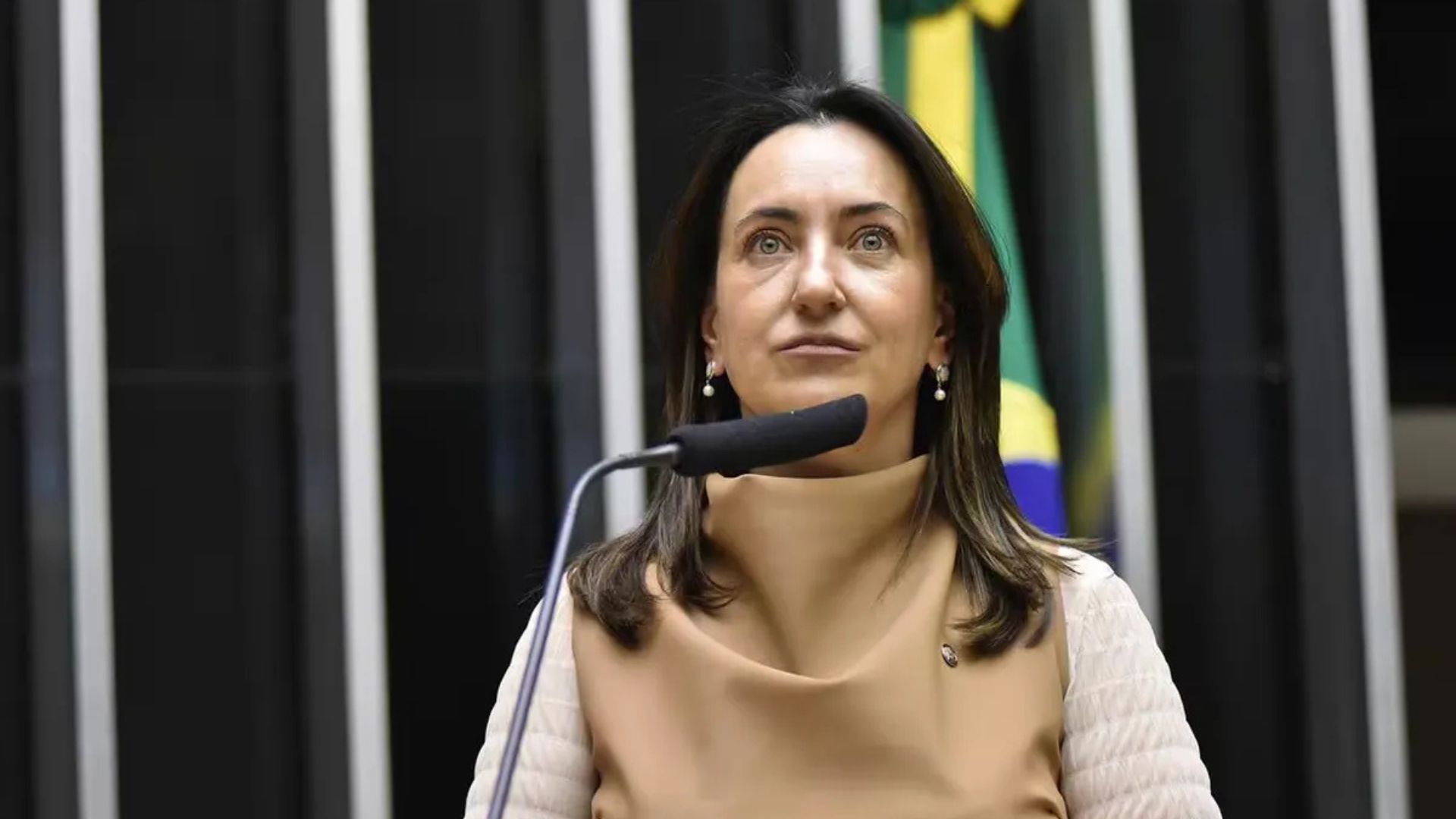 Projeto propõe apoio psicológico no SUS para cuidadores de bebês reborn 1 projeto propoe apoio psicologico no sus para cuidadores de bebes reborn
