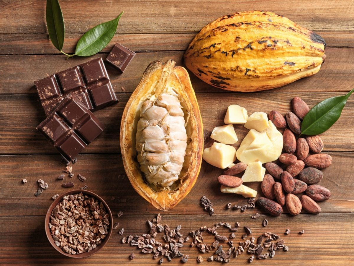 Senado aprova percentual mínimo de cacau nos chocolates 1 senado aprova percentual minimo de cacau nos chocolates