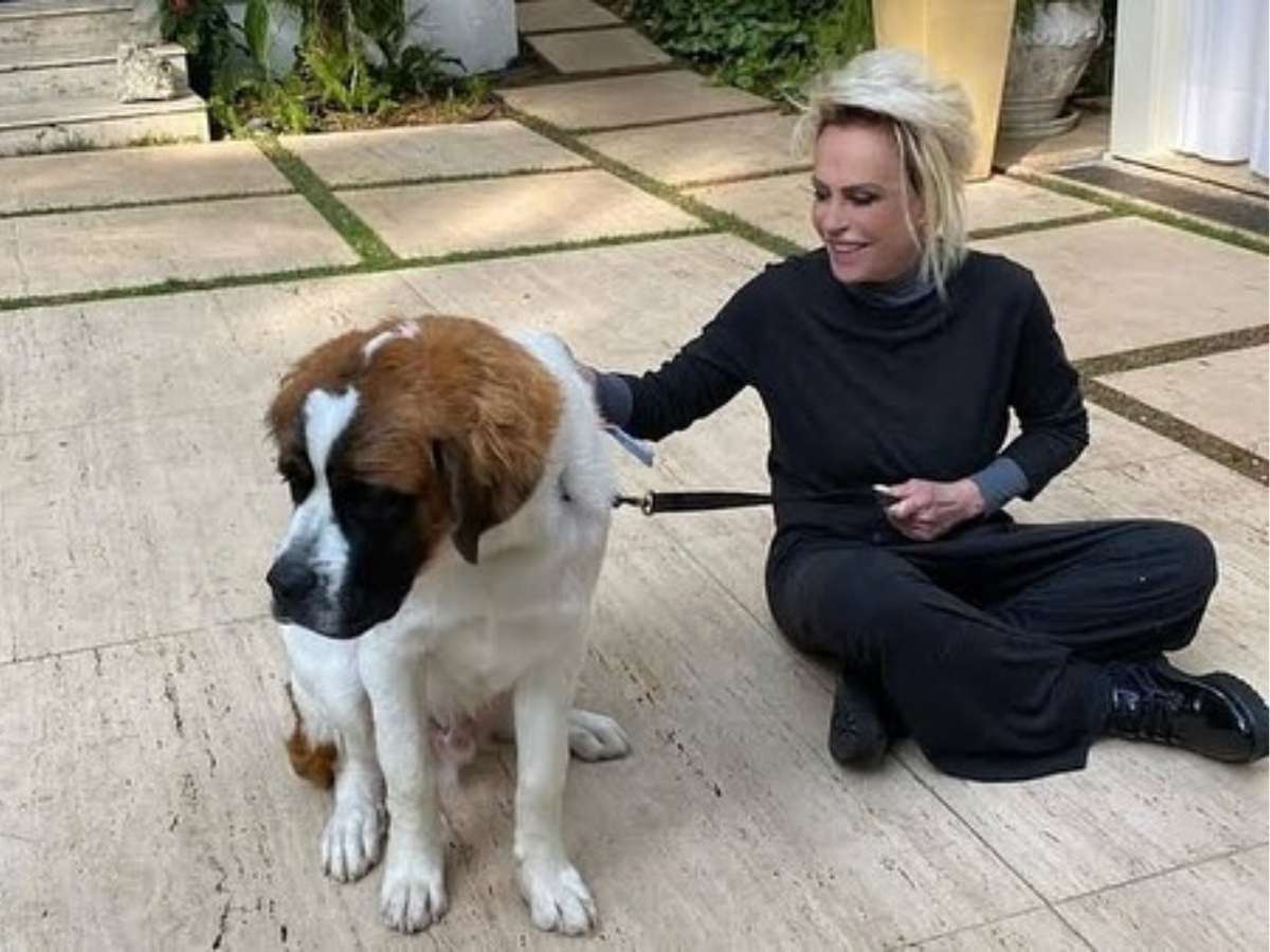 Ana Maria Braga lamenta a morte de seu cachorro Capuccino 1 ana maria braga lamenta a morte de seu cachorro capuccino