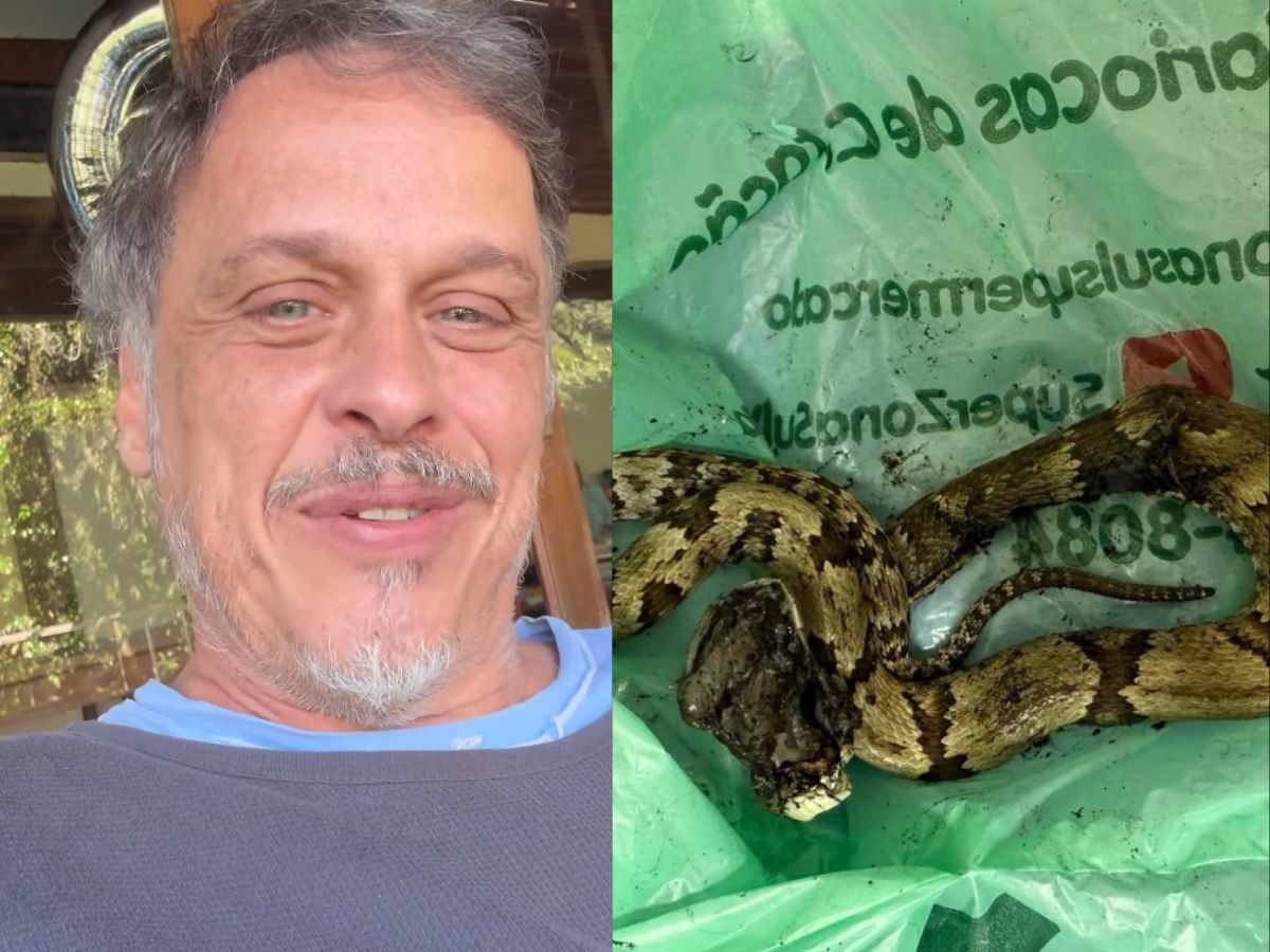 Guilherme Fontes alerta sobre picada de cobra em casa 1 guilherme fontes alerta sobre picada de cobra em casa