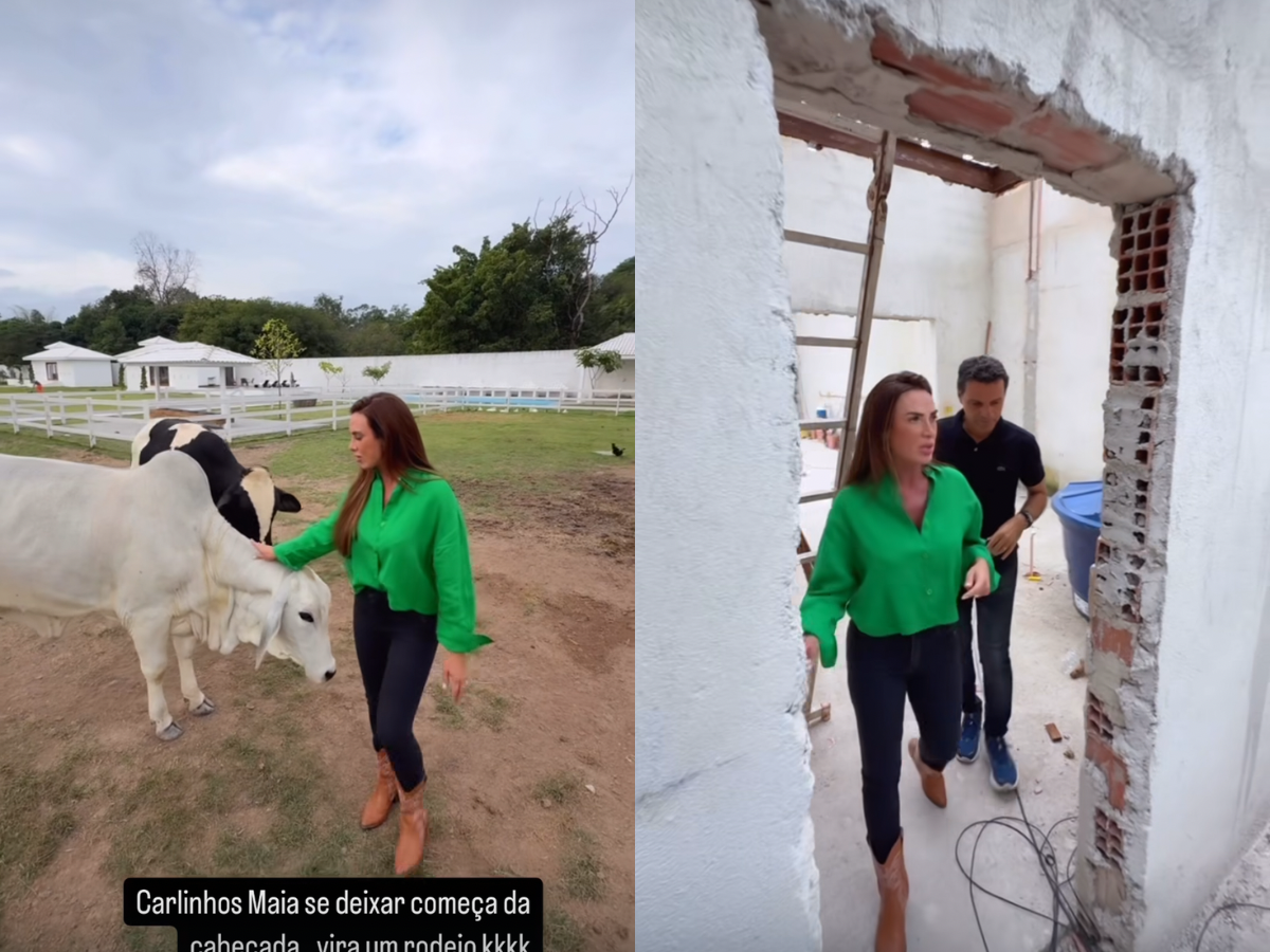 Nicole Bahls compartilha detalhes das reformas em seu famoso sítio 1 nicole bahls compartilha detalhes das reformas em seu famoso sitio