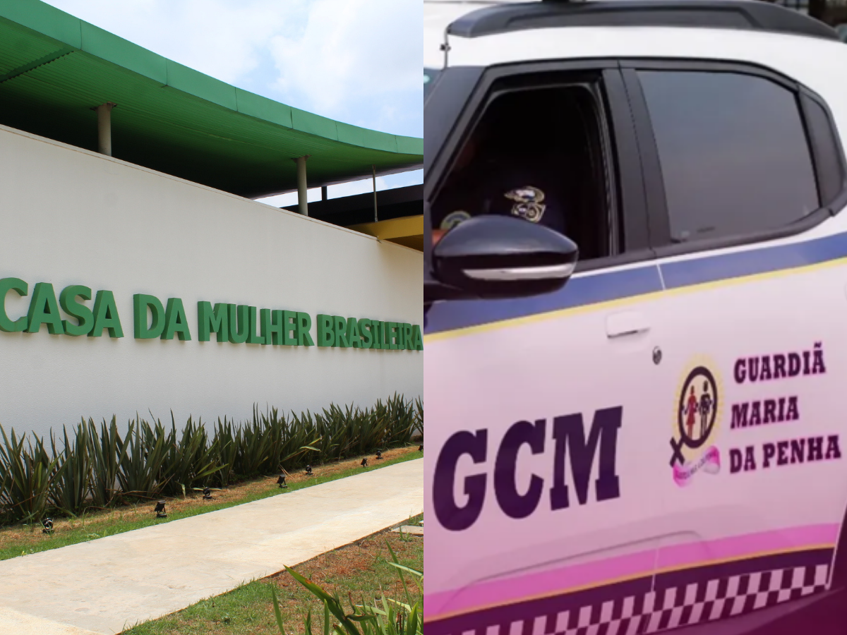 Ações da Prefeitura de SP para proteger mulheres vítimas de violência 1 acoes da prefeitura de sp para proteger mulheres vitimas de violencia